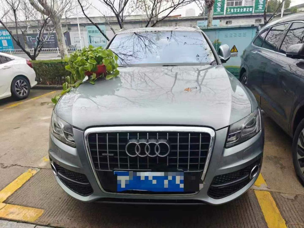 奧迪 奧迪Q5  2010款 Q5 2.0TSI 首發(fā)限量版運動版圖片