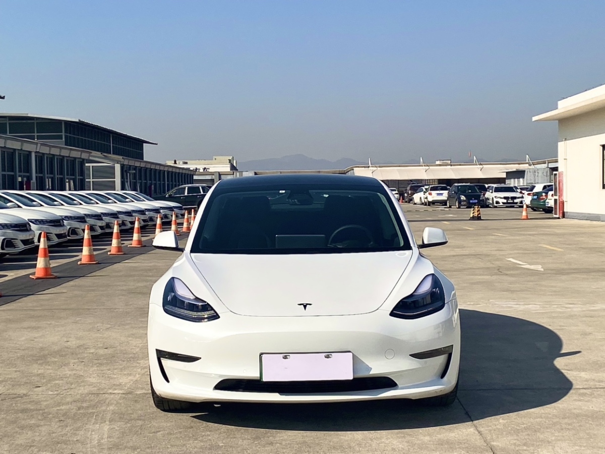 特斯拉 model 3 2019款 標準續航後驅升級版圖片