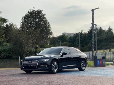 2021年10月 奥迪 奥迪A6L 45 TFSI 臻选致雅型图片