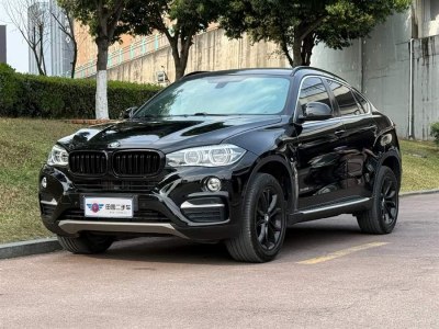 2018年12月 寶馬 寶馬X6(進(jìn)口) xDrive35i 領(lǐng)先型圖片