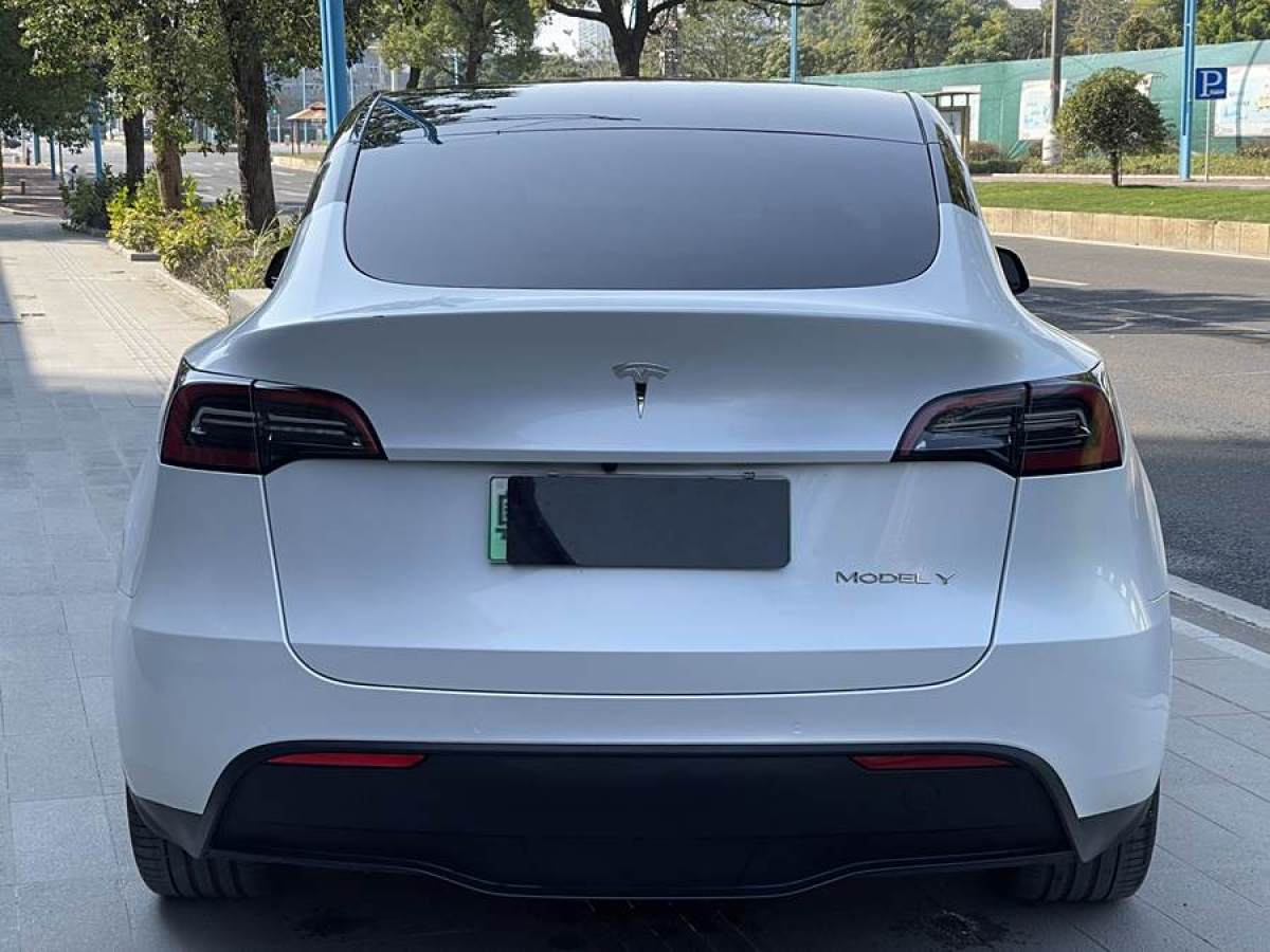 特斯拉 Model 3  2022款 后輪驅(qū)動版圖片