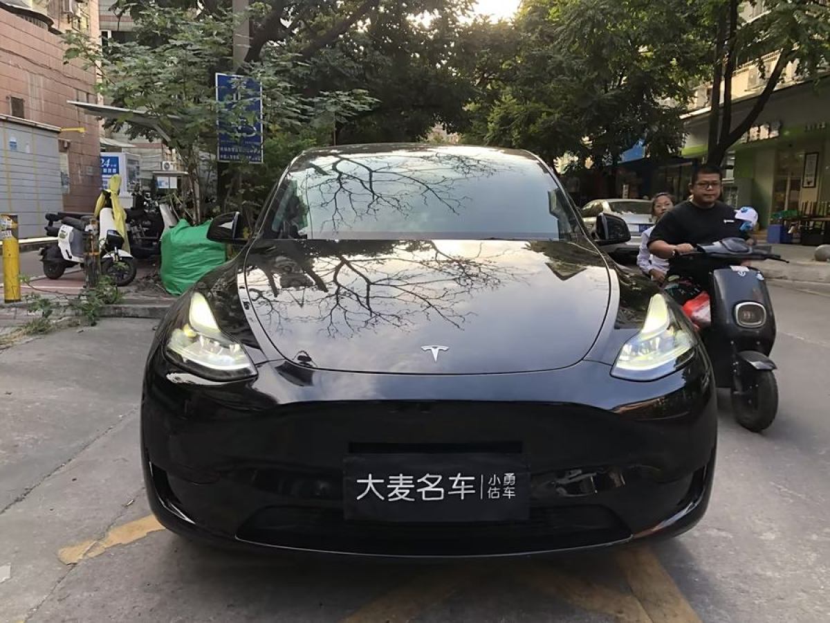 特斯拉 Model Y  2020款 改款 長(zhǎng)續(xù)航后輪驅(qū)動(dòng)版圖片