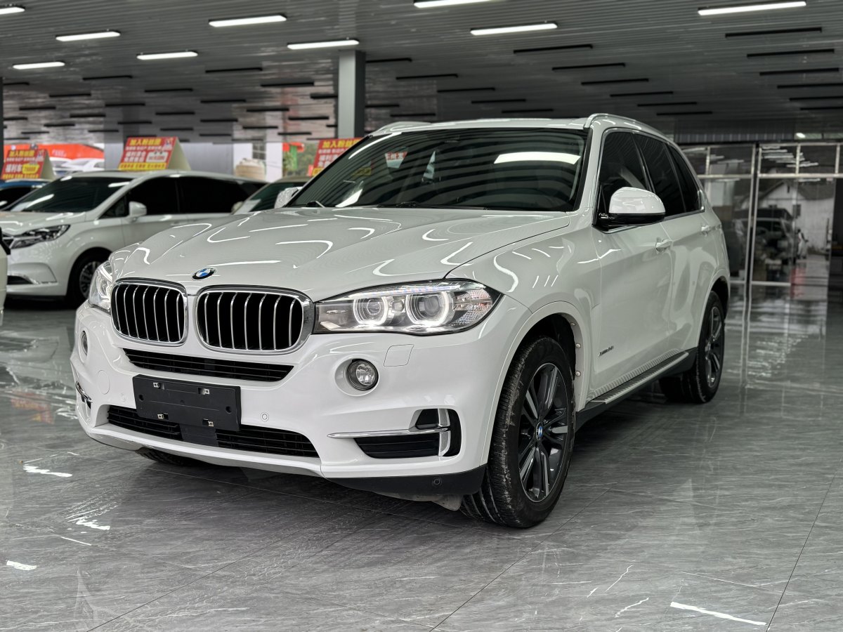 寶馬 寶馬X5  2017款 xDrive35i 領(lǐng)先型圖片