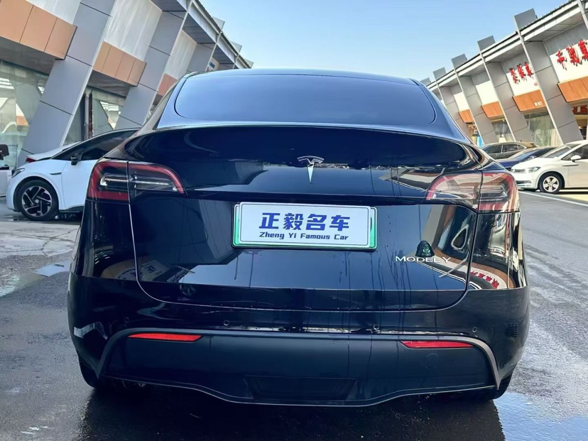 特斯拉 Model 3  2020款 改款 長續(xù)航后輪驅(qū)動(dòng)版圖片