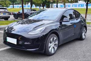 Model 3 特斯拉 改款 长续航后轮驱动版