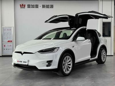 2018年6月 特斯拉 Model X Model X 100D 長(zhǎng)續(xù)航版圖片