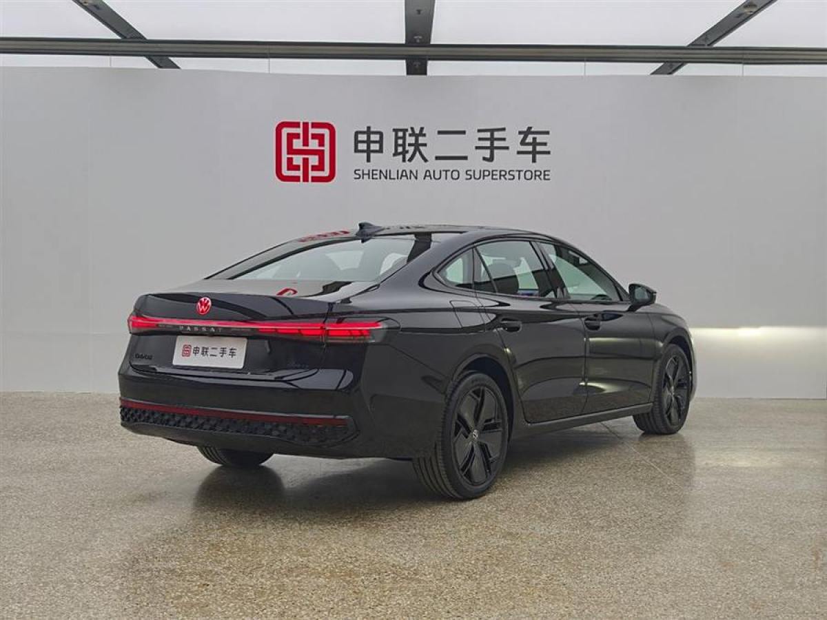 大眾 帕薩特  2025款 Pro 380TSI 星空龍尊版圖片