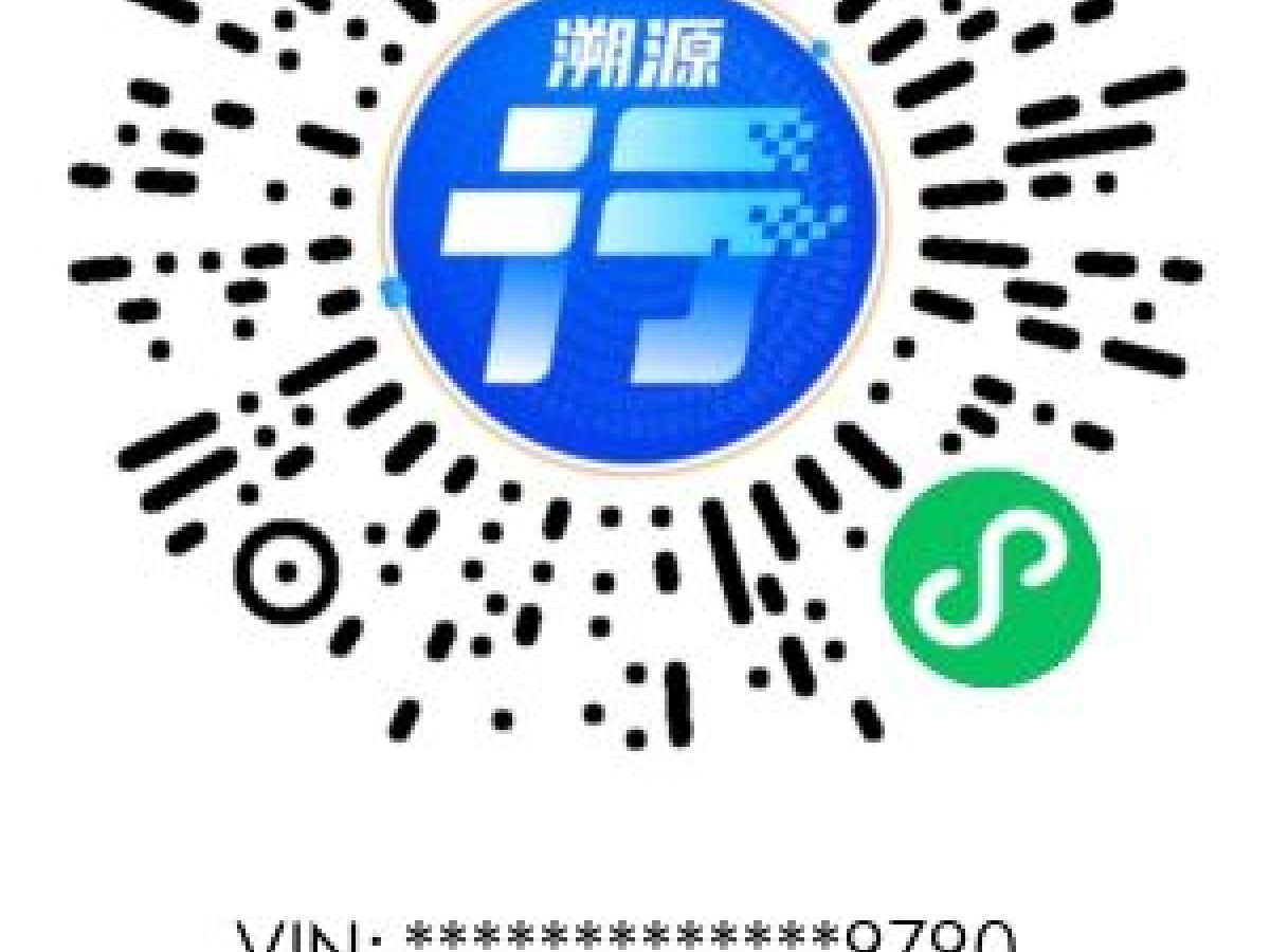 坦克 坦克300  2021款 城市版 2.0T 很有型圖片