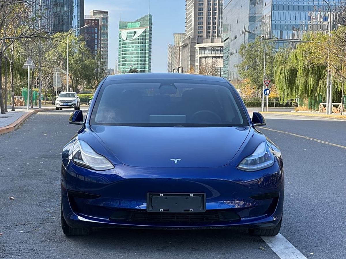 特斯拉 Model 3  2020款 改款 標準續(xù)航后驅升級版圖片