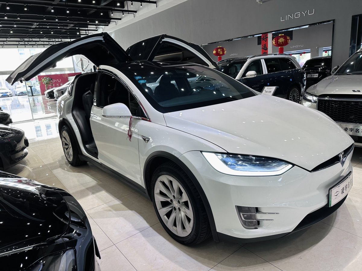 2020年4月特斯拉 Model X  2019款 長(zhǎng)續(xù)航版