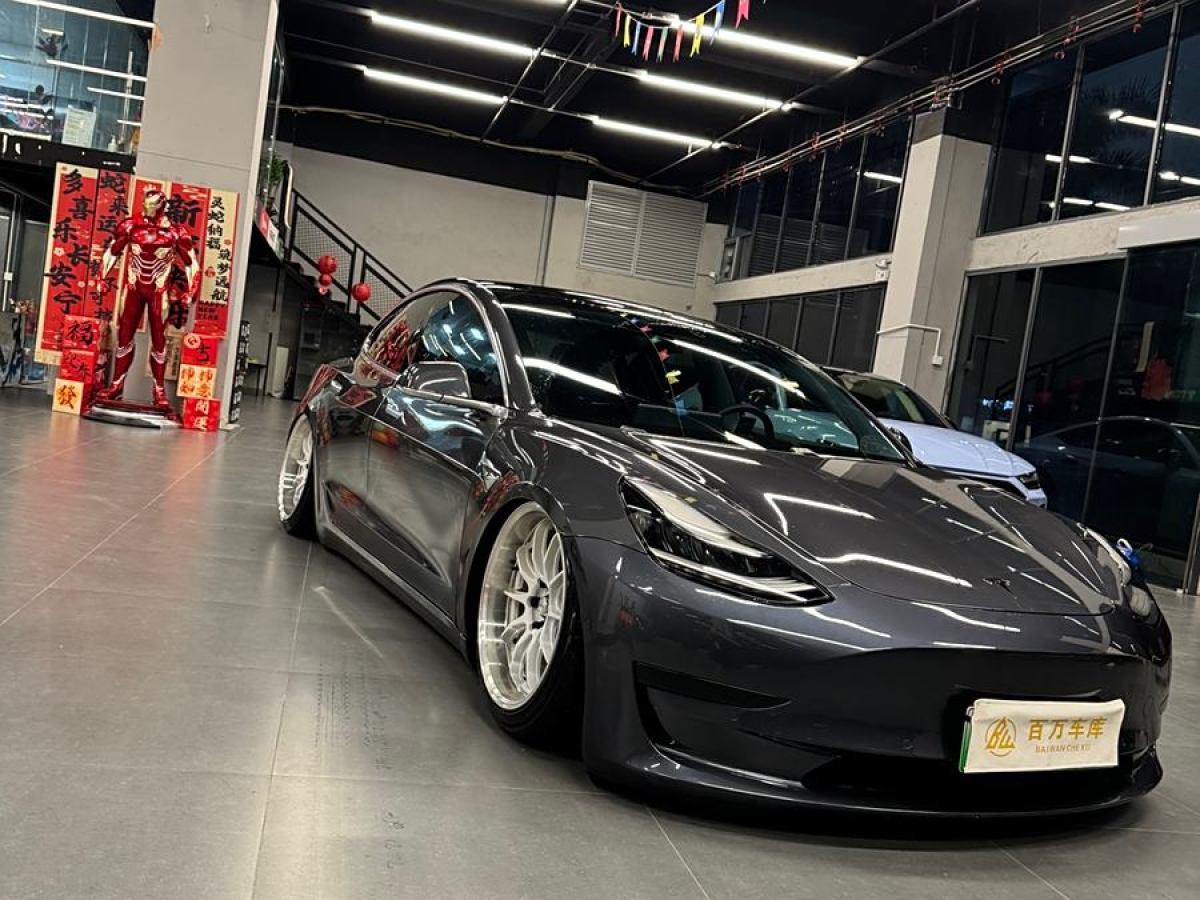 2020年3月特斯拉 Model 3  2019款 標準續(xù)航后驅升級版