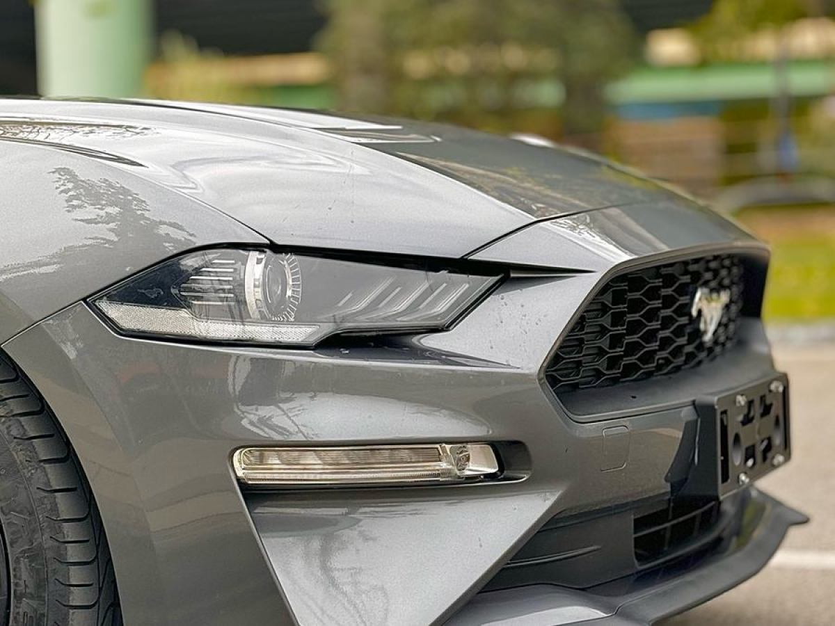 福特 Mustang  2021款 2.3L EcoBoost圖片