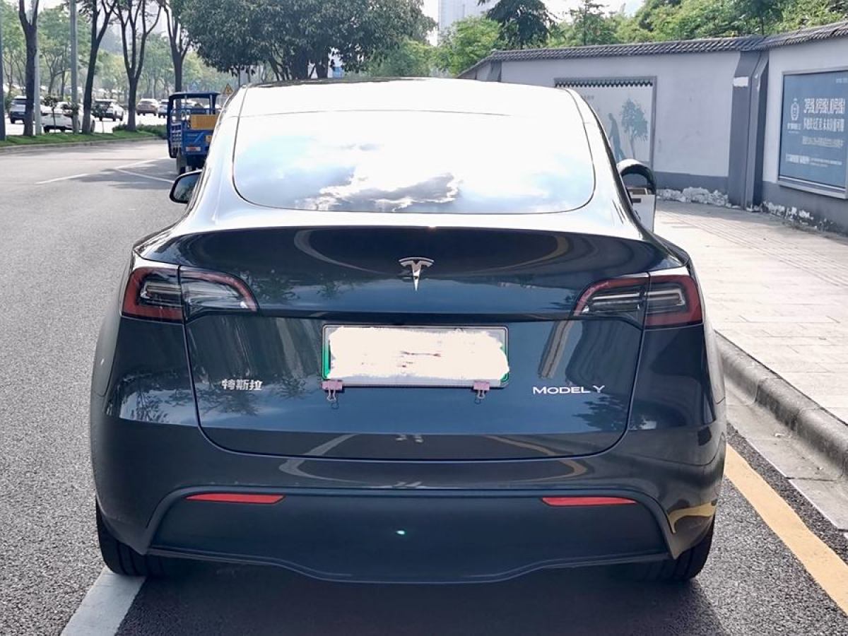 特斯拉 Model Y  2020款 改款 長續(xù)航后輪驅動版圖片