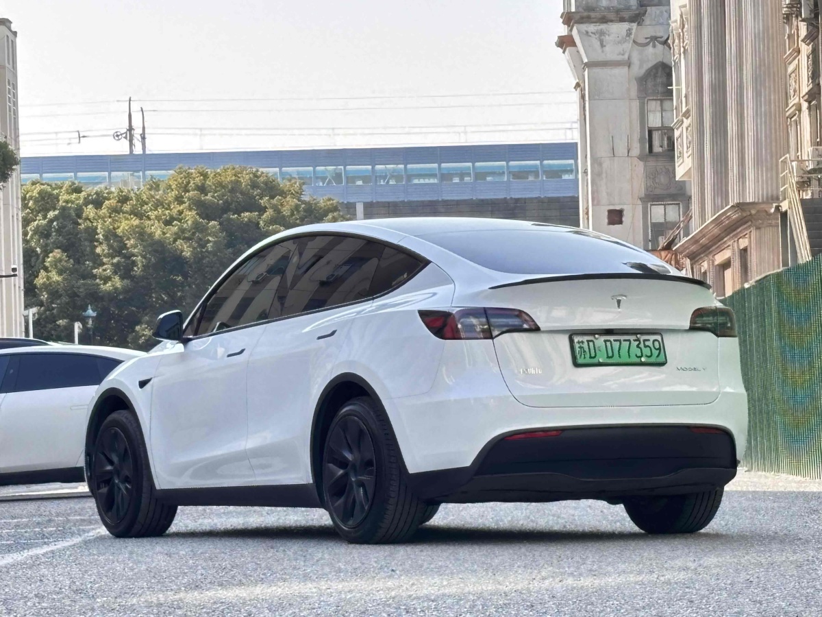 特斯拉 Model 3  2020款 改款 長續(xù)航后輪驅(qū)動版圖片