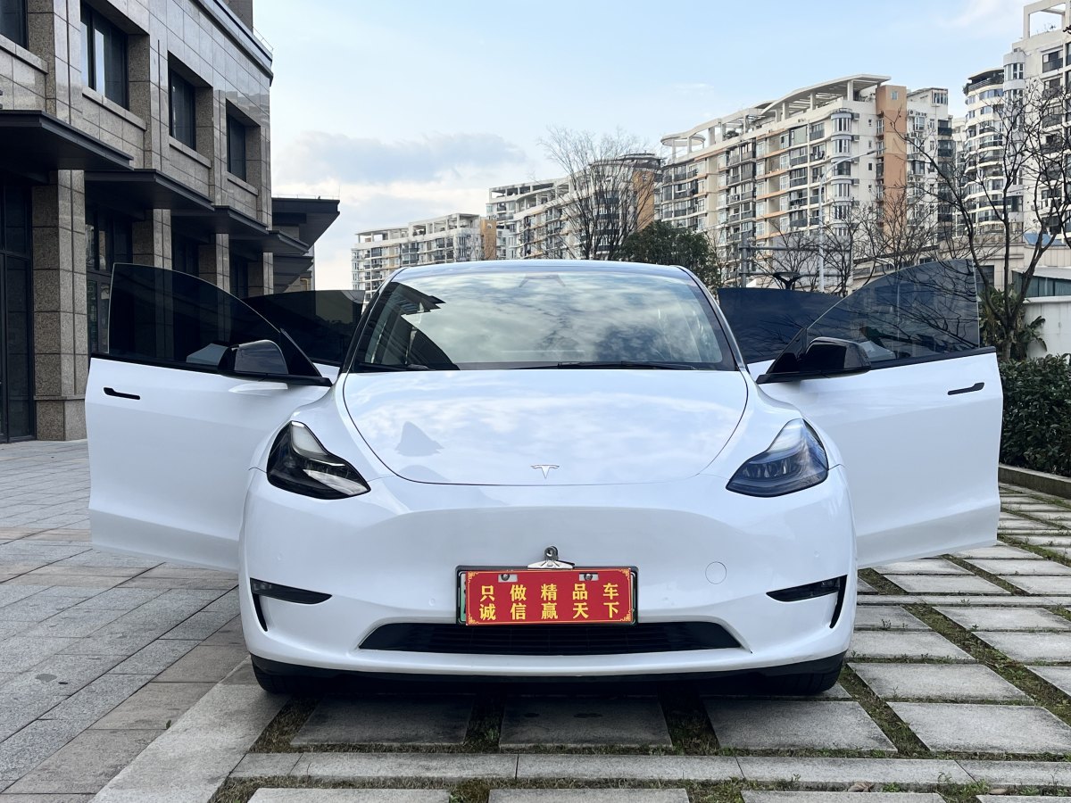 特斯拉 Model Y  2021款 長續(xù)航全輪驅(qū)動版 3D7圖片