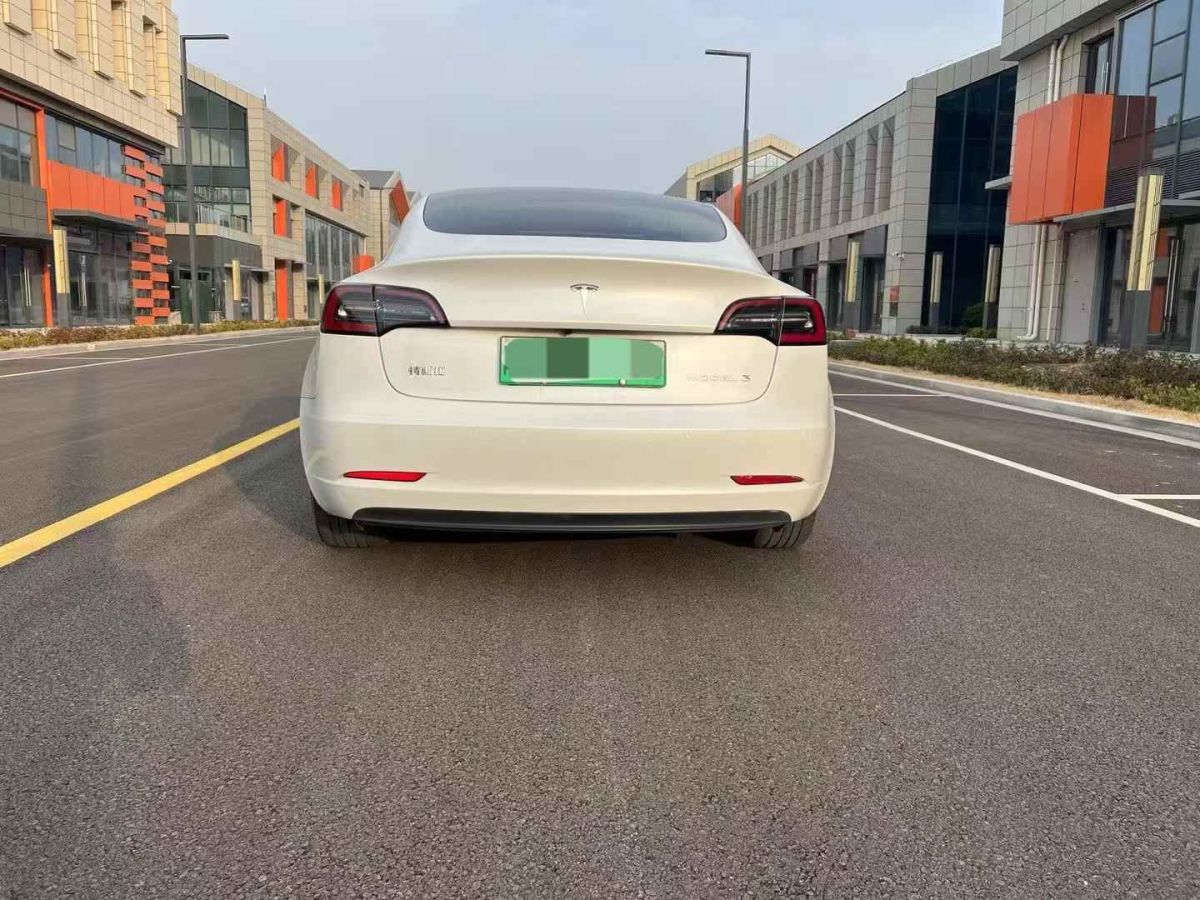 特斯拉 Model X  2020款 Performance 高性能版圖片