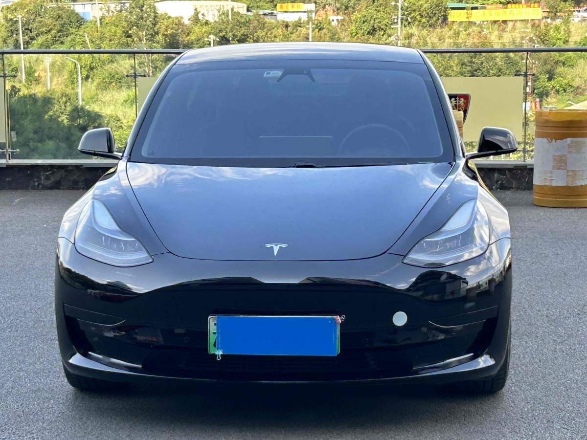 特斯拉 Model Y  2021款 標準續(xù)航后驅(qū)升級版 3D6圖片