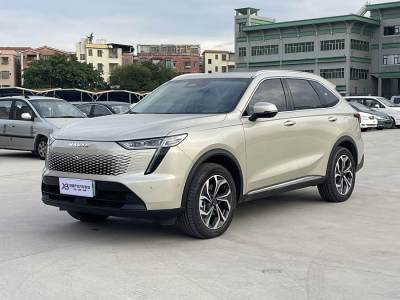 2023年6月 哈弗 哈弗枭龙MAX 1.5L Hi4 105 四驱智能旗舰版图片