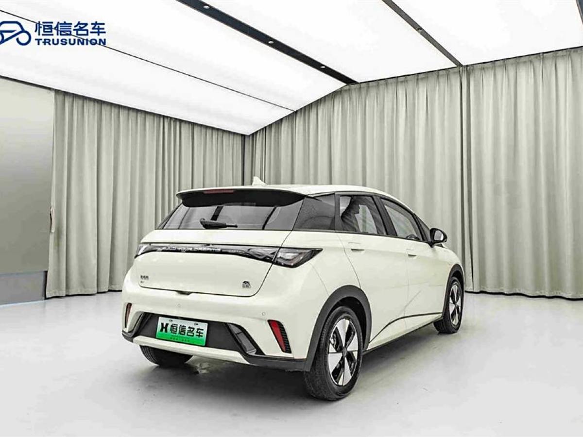 2023年10月比亞迪 海豚  2023款 420km 時(shí)尚版