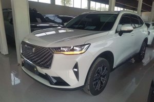H6 哈弗 第三代 1.5T 自動(dòng)兩驅(qū)Max