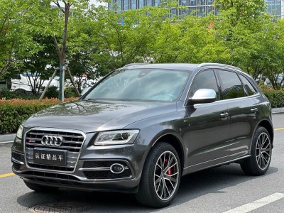 2015年2月 奧迪 奧迪SQ5(進(jìn)口) SQ5 3.0 TFSI quattro圖片