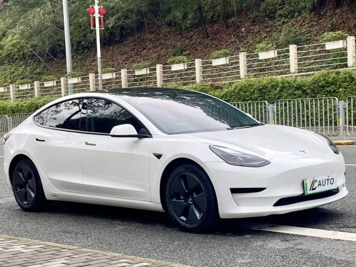 特斯拉 Model 3  2021款 標(biāo)準(zhǔn)續(xù)航后驅(qū)升級版 3D6圖片