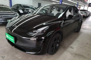 Model Y 特斯拉 改款 后輪驅(qū)動版