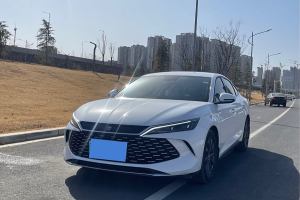 秦L 比亞迪 DM-i 80KM領(lǐng)先型