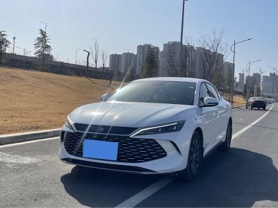 2024年8月 比亞迪 秦L DM-i 80KM領先型圖片