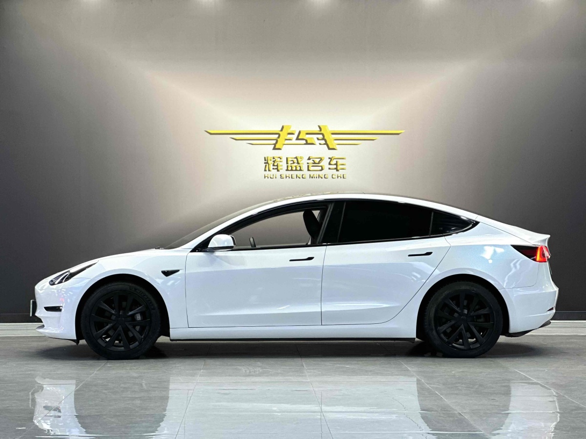 特斯拉 Model 3  2019款 長(zhǎng)續(xù)航后驅(qū)版圖片