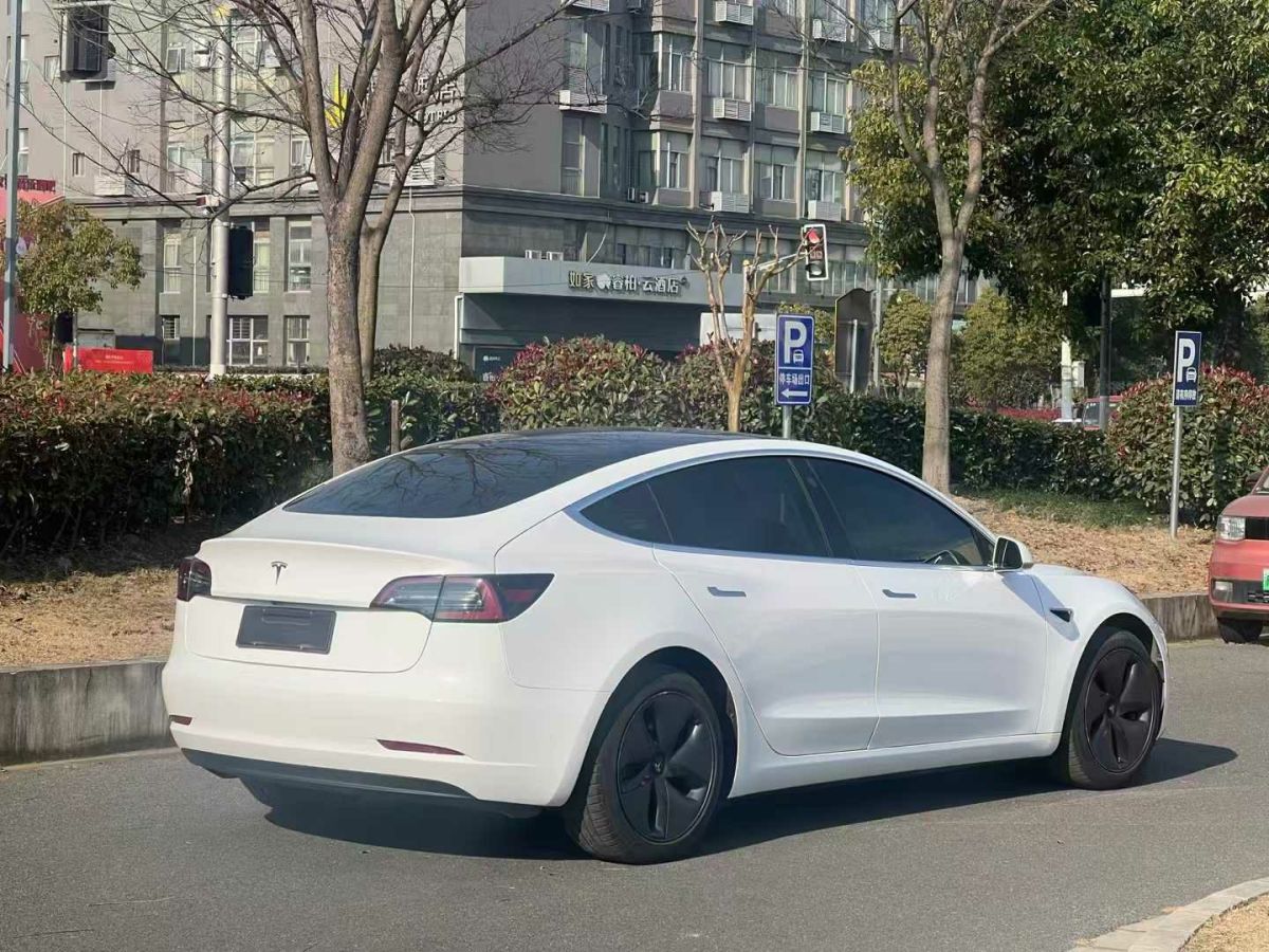 特斯拉 Model X  2020款 Performance 高性能版圖片