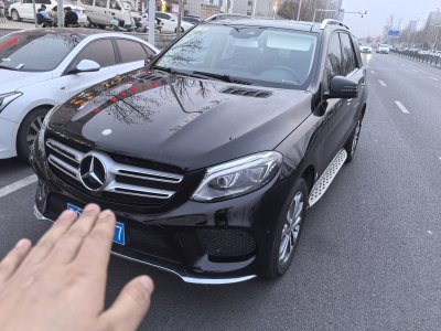 2016年8月 奔馳 奔馳GLE(進(jìn)口) GLE 320 4MATIC 豪華型圖片