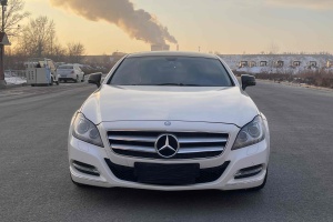 奔馳CLS級(jí) 奔馳 CLS 300 CGI