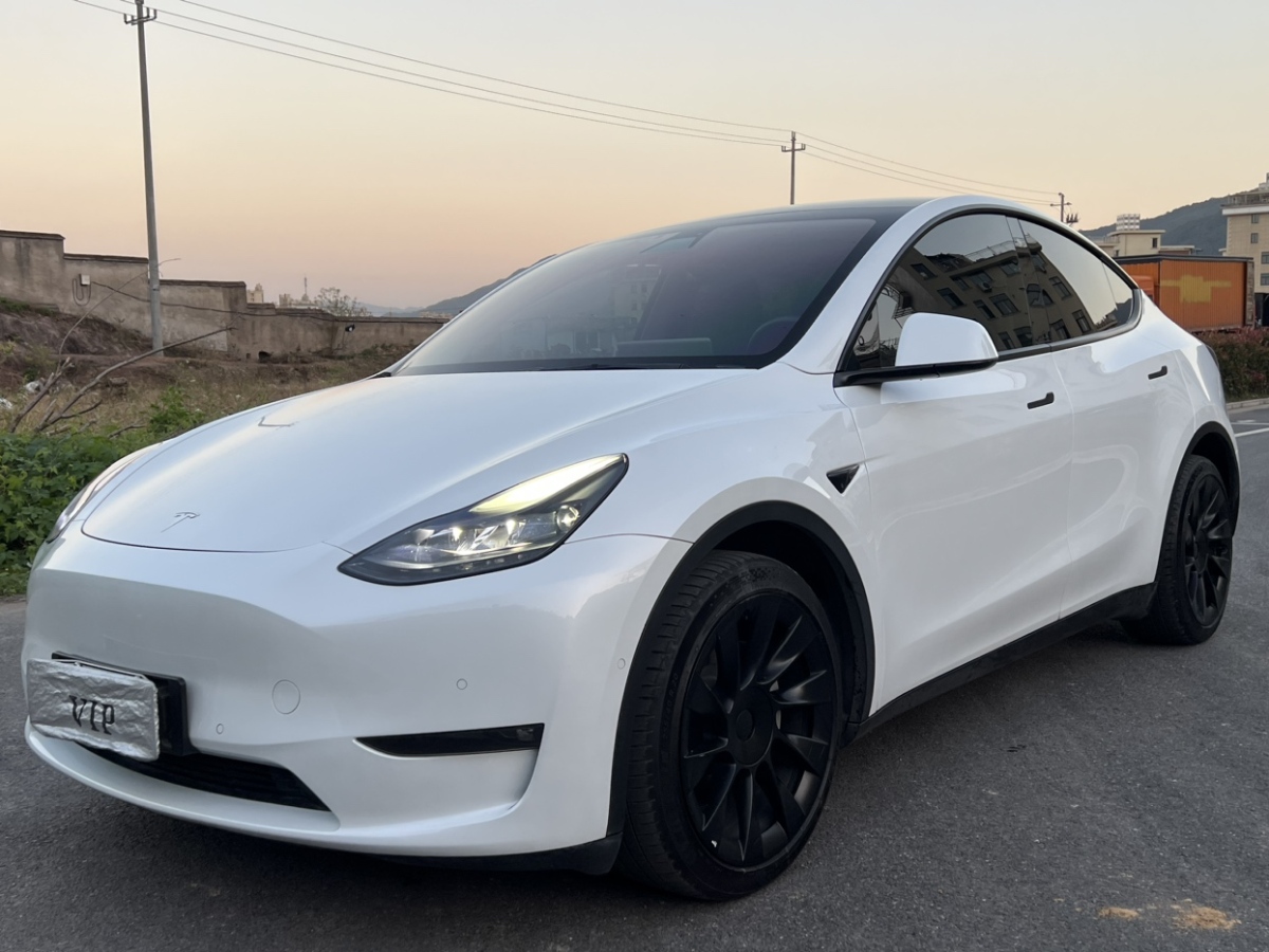 特斯拉 Model Y  2021款 長續(xù)航全輪驅動版圖片