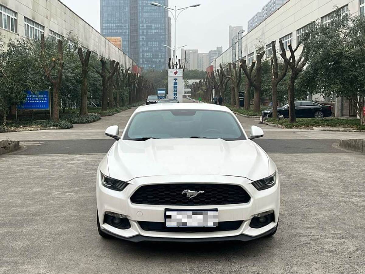 福特 Mustang  2015款 2.3T 性能版圖片