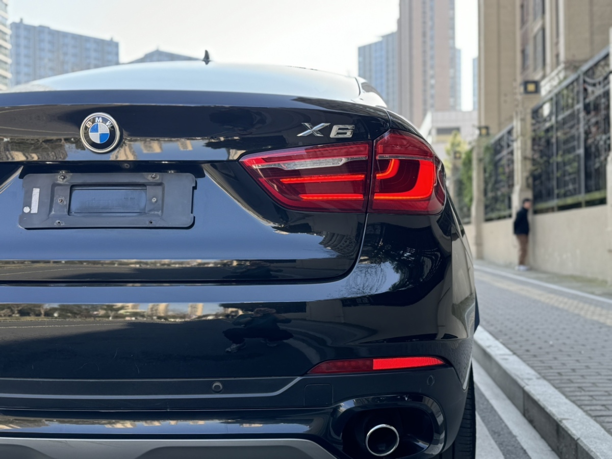 寶馬 寶馬X6  2015款 xDrive35i 領(lǐng)先型圖片