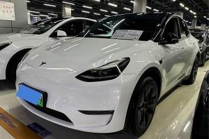 Model Y 特斯拉 长续航焕新版 双电机全轮驱动