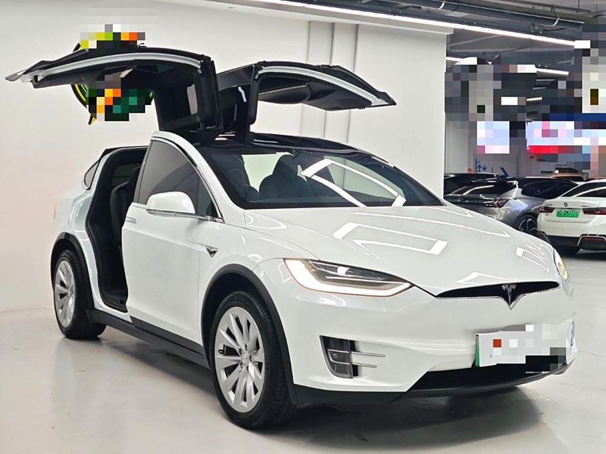 特斯拉 Model X  2019款 長(zhǎng)續(xù)航版圖片