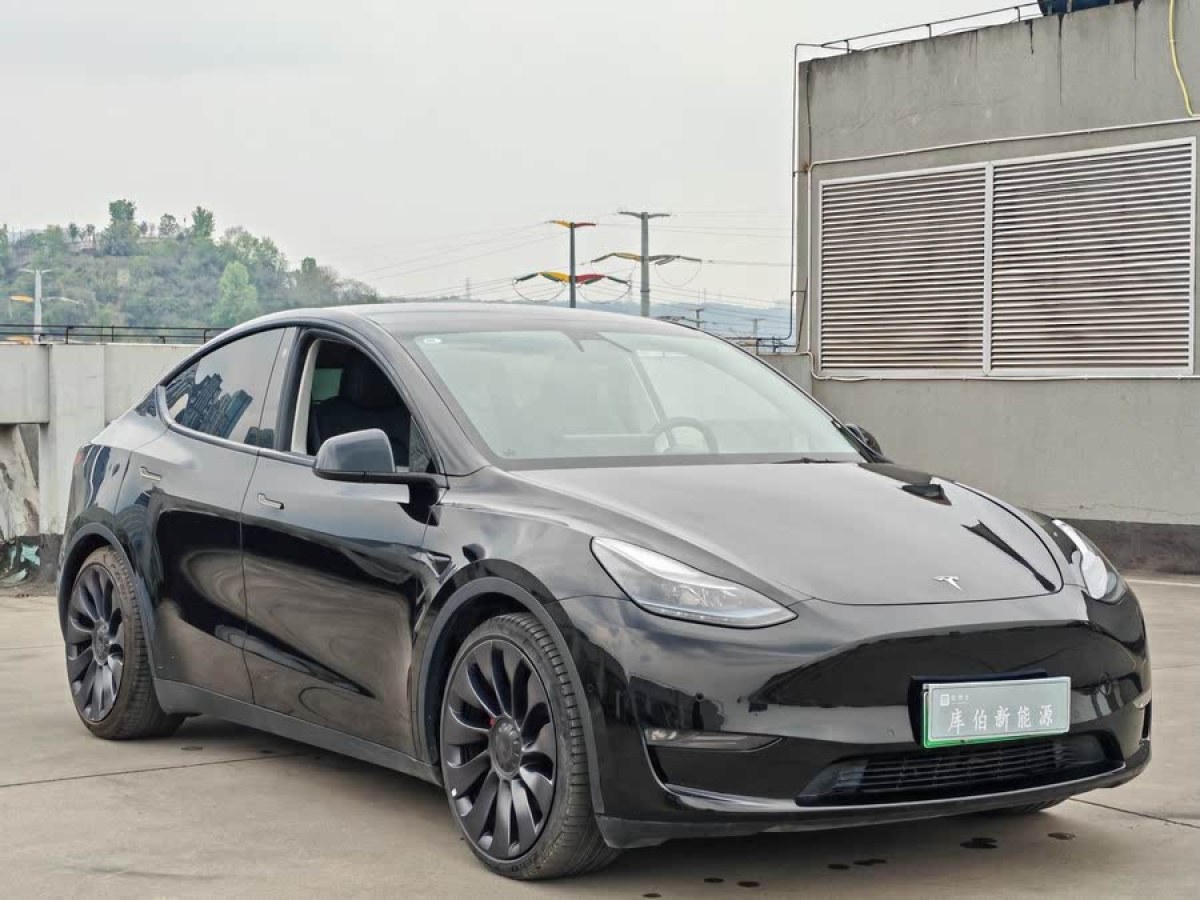 特斯拉 Model Y  2022款 Performance高性能全輪驅(qū)動(dòng)版圖片