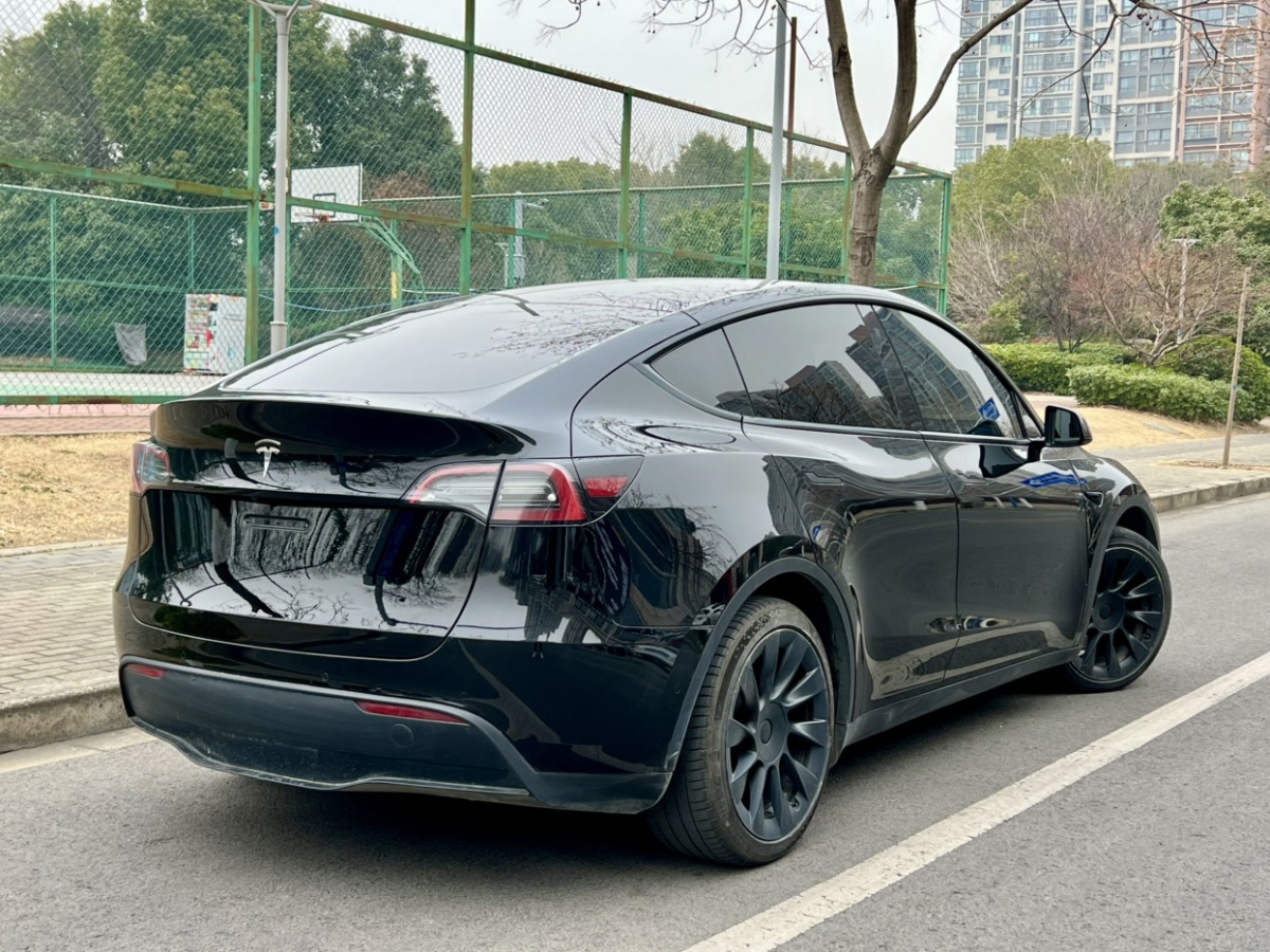 特斯拉 Model Y  2021款 標準續(xù)航后驅(qū)版圖片