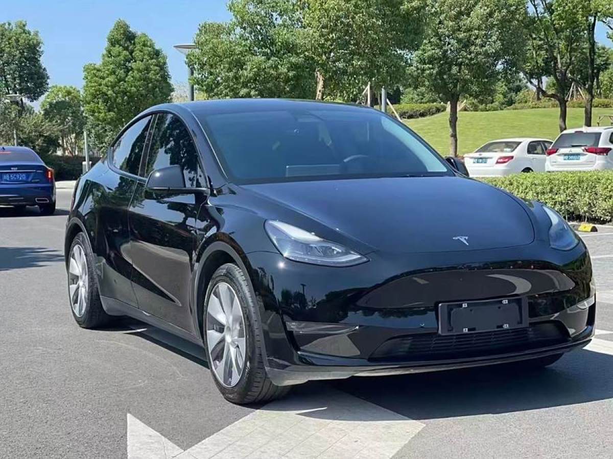 特斯拉 Model Y  2021款 改款 標準續(xù)航后驅(qū)升級版圖片