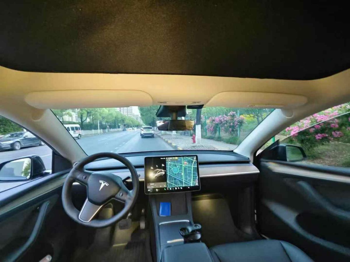 特斯拉 Model S  2021款 Performance 高性能版圖片