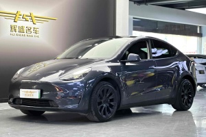 Model Y 特斯拉 长续航焕新版 双电机全轮驱动