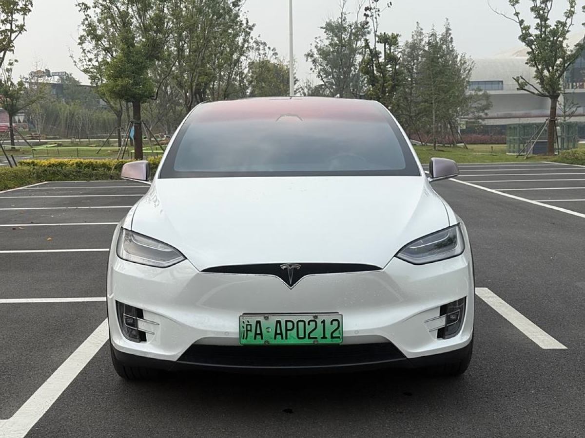 特斯拉 Model X  2020款 長續(xù)航升級版圖片