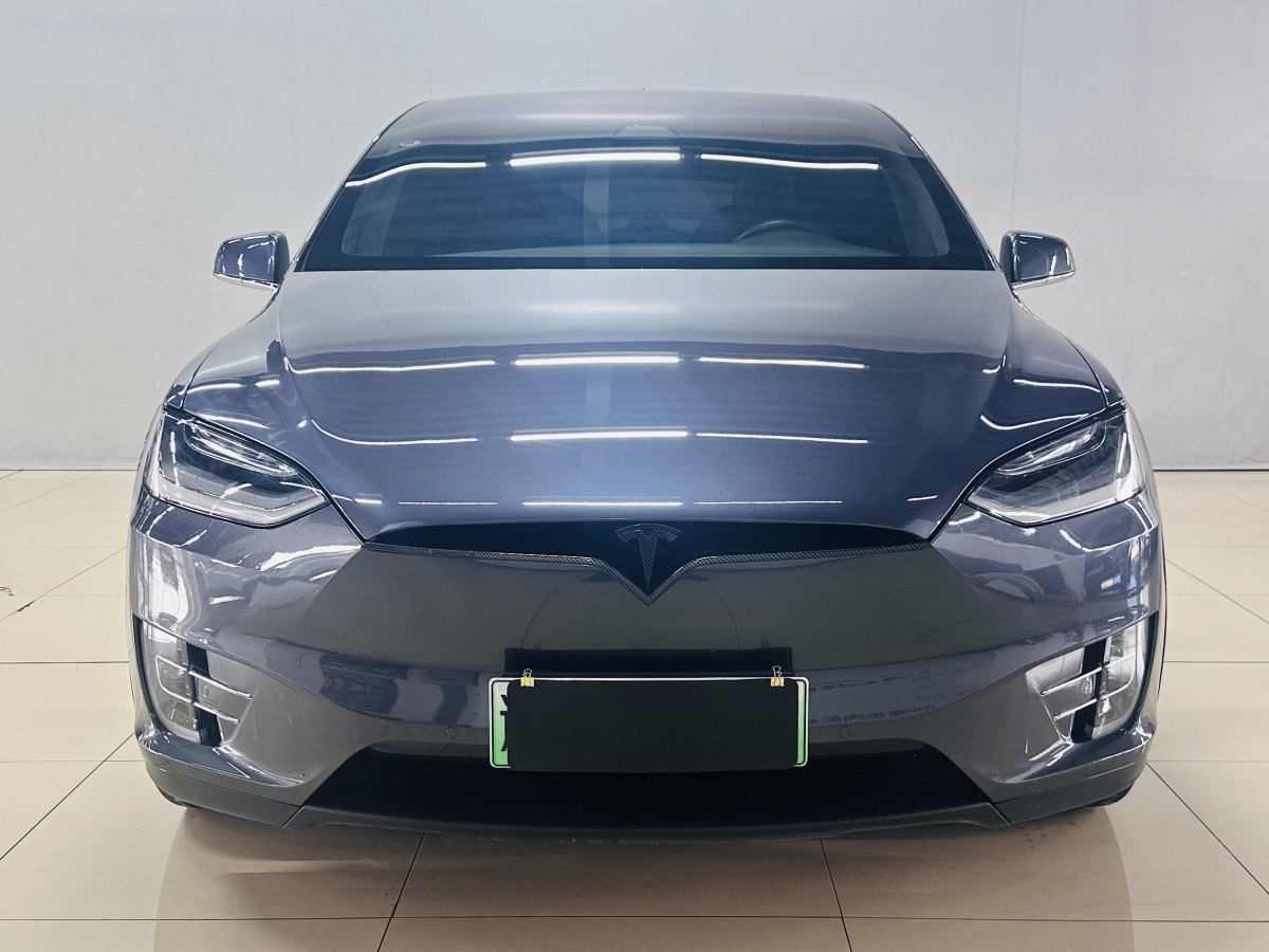 2021年1月特斯拉 Model X  2020款 長續(xù)航升級版