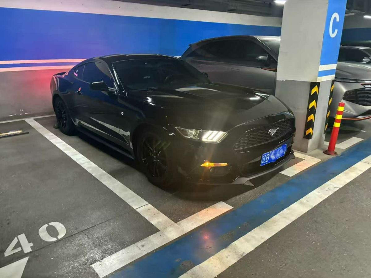 福特 Mustang  2016款 2.3T 性能版圖片