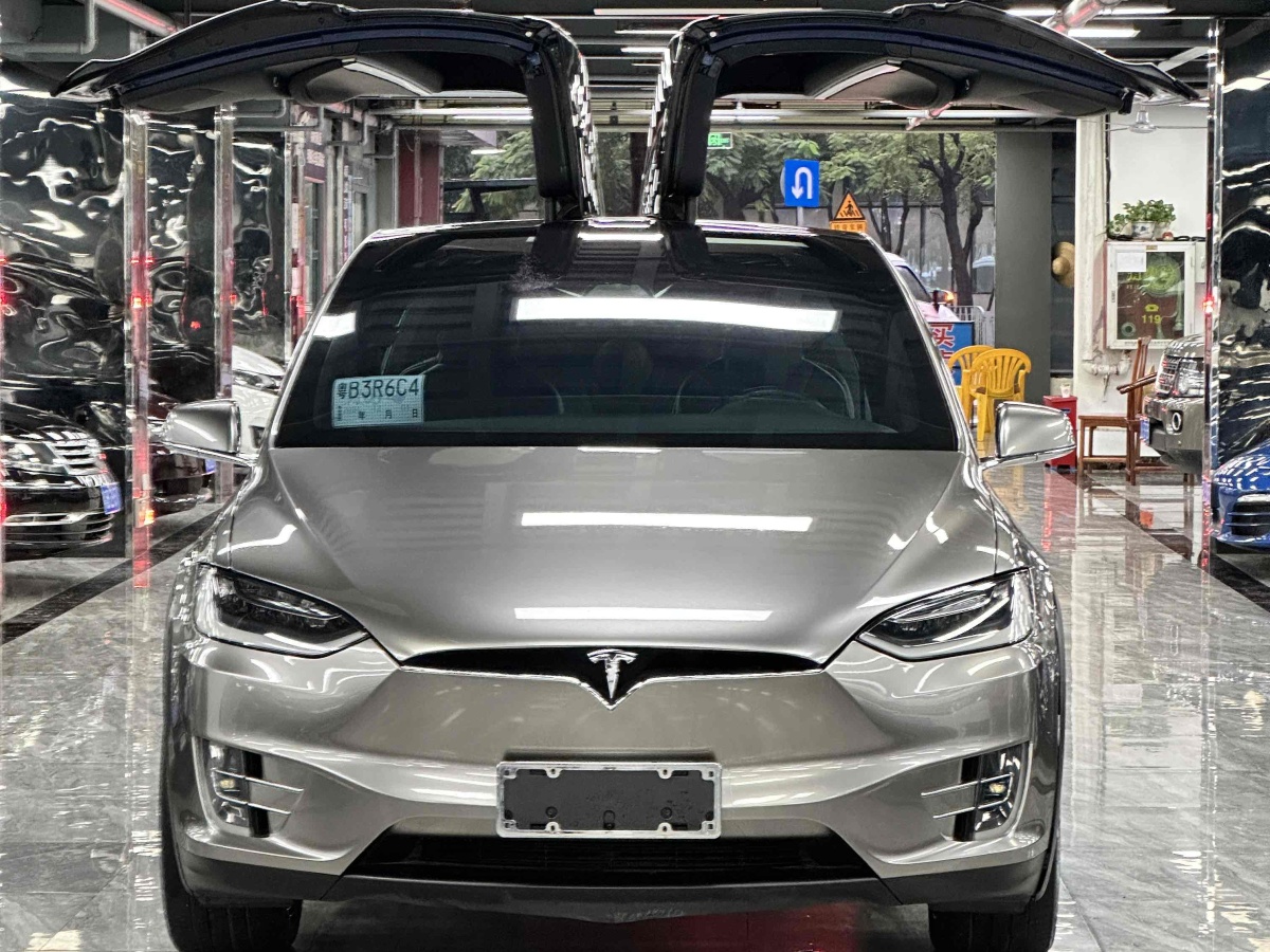 特斯拉 Model X  2016款 Model X 75D圖片