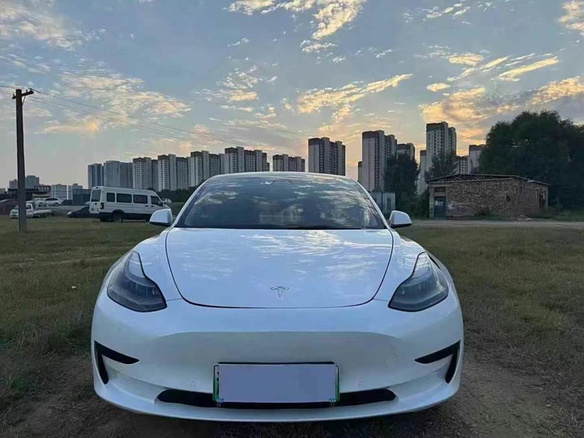 2023年3月特斯拉 Model 3  2022款 改款 后輪驅(qū)動版