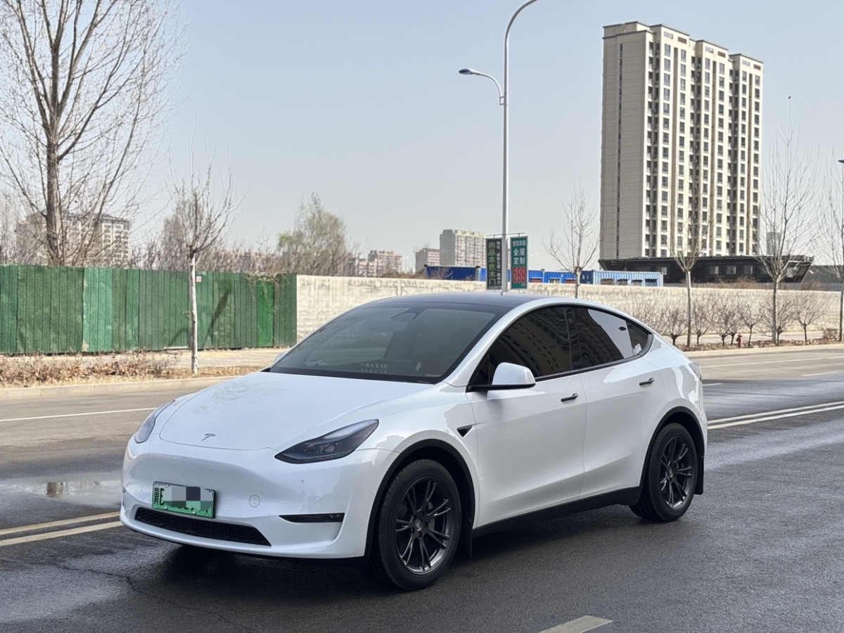 特斯拉 Model Y  2024款 長續(xù)航全輪驅(qū)動版圖片