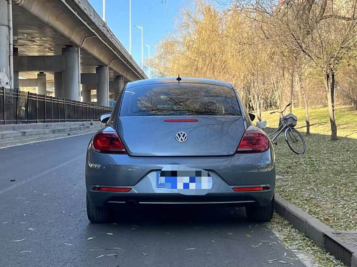 大眾 甲殼蟲  2018款 180TSI 宜樂型圖片